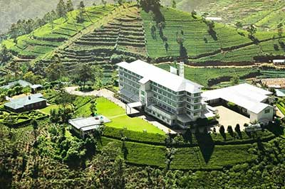 Tea Factory | walklankatours.com